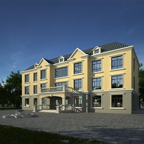 欧式 办公楼 办公楼村委会服务站