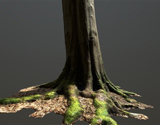 现代树干模型