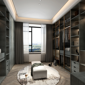 现代 衣帽间 简约衣帽间