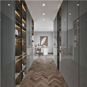 现代 衣帽间 高级灰衣帽间