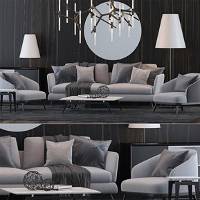 现代 沙发茶几组合