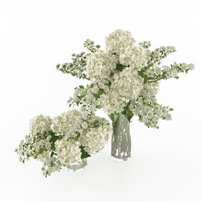 现代 花瓶 鲜花