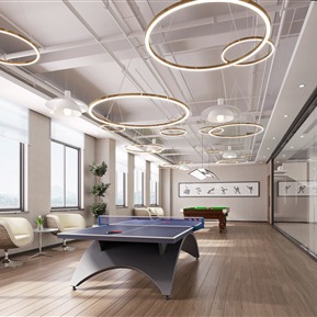 现代 娱乐室 乒乓球室台球室