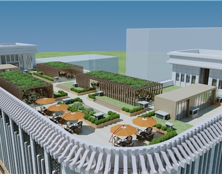 现代 花园 屋顶花园