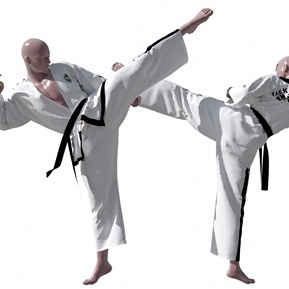 现代 男人 跆拳道人物