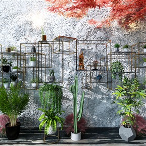 现代 盆栽 绿植盆栽组合