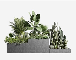 现代 盆栽 植物堆