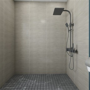 现代 卫生间 主卫