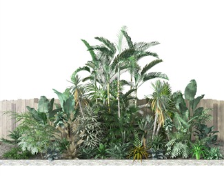 现代室内植物造景