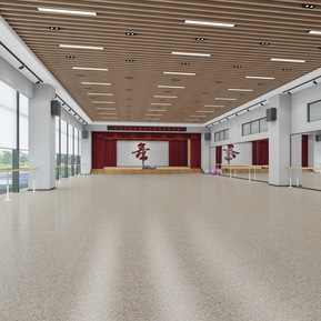 现代 舞蹈室 二楼大舞蹈室改