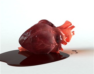 现代人体心脏