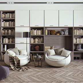 现代 休闲沙发组合 休闲椅书柜组合