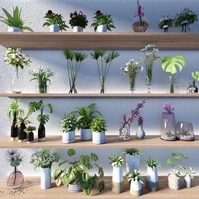 现代 盆栽 绿植花卉花瓶组合物理像机