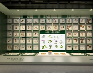 现代 展厅 植物
