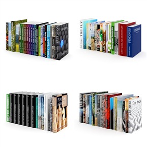 现代 书 英文书籍组合