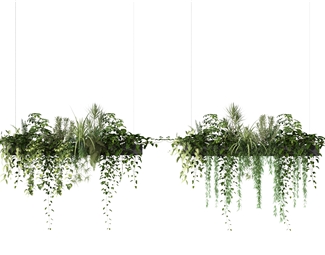 现代悬浮植物