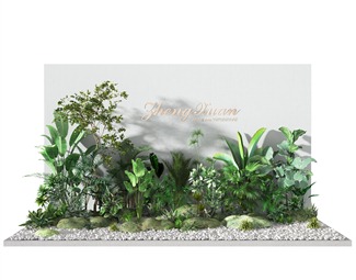现代 橱窗 植物堆