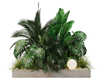 现代 植物 植物端景植物景观
