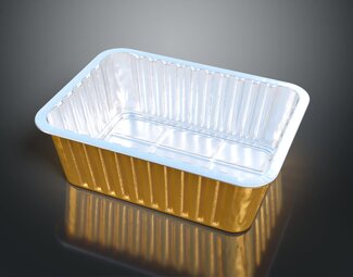 现代 饭盒 铝箔饭盒 锡纸饭盒 盒子 小盒子