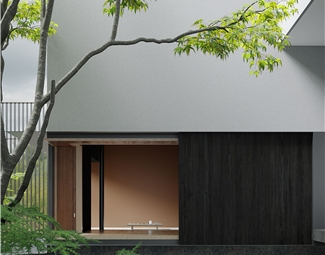 现代 庭院