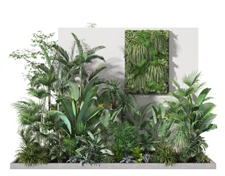 现代 植物 绿植堆