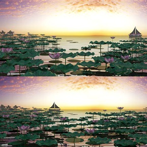 现代 湖 荷叶 荷花