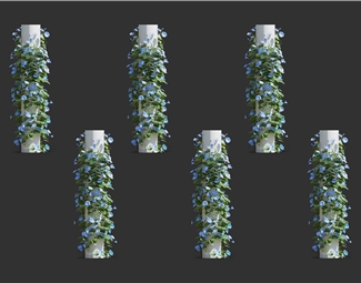 现代室内植物