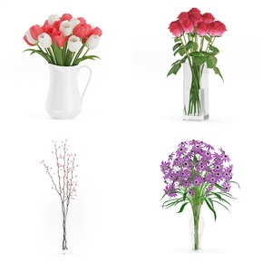 现代 花卉 室内绿植 植物