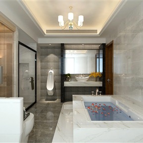 现代 卫生间 卫生间带桑拿房