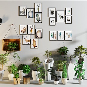 北欧 盆栽 绿色植物花卉照片组合