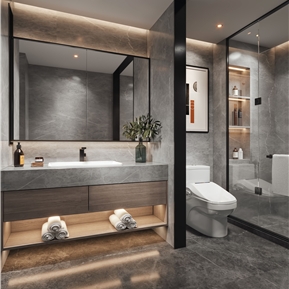 现代 卫生间 卫生间浴室