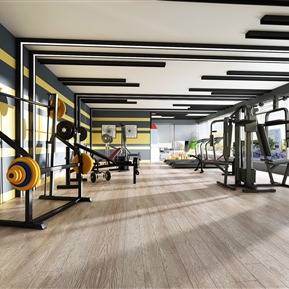 现代 健身房 社区健身房