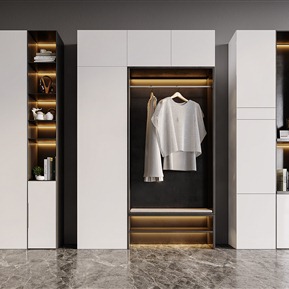 现代 衣柜 书柜衣柜