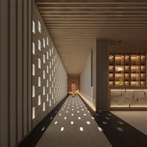 现代 过道 会所过道