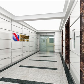 现代 电梯厅 电梯间