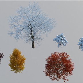 现代 树 冬天树