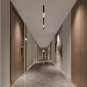 现代 酒店过道