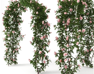 现代户外植物架