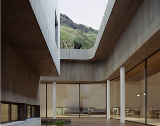 现代 庭院