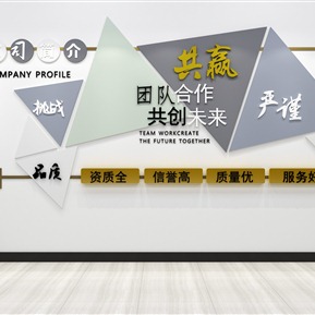 现代 文化墙 公司文化墙