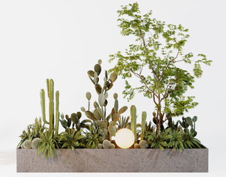 现代 盆栽 绿植景观植物端景
