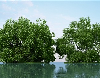 现代 树 花草