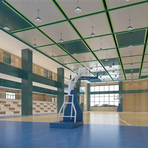 现代 篮球馆 小学室内篮球馆