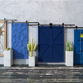 地中海 谷仓门 仙人掌