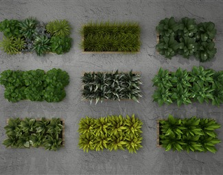现代 绿植墙 植物墙