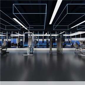 工业LOFT 健身房 健身房全景