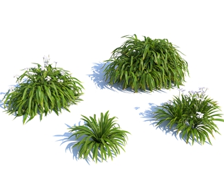 现代园林植物