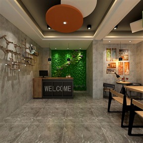 工业LOFT 大厅 大厅全景