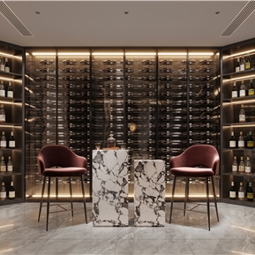 现代 酒窖 门厅酒窖
