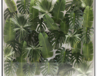 现代 植物 植物墙挂件